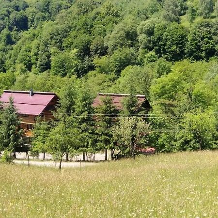 Pensiunea Simina Viseu de Jos Exterior photo