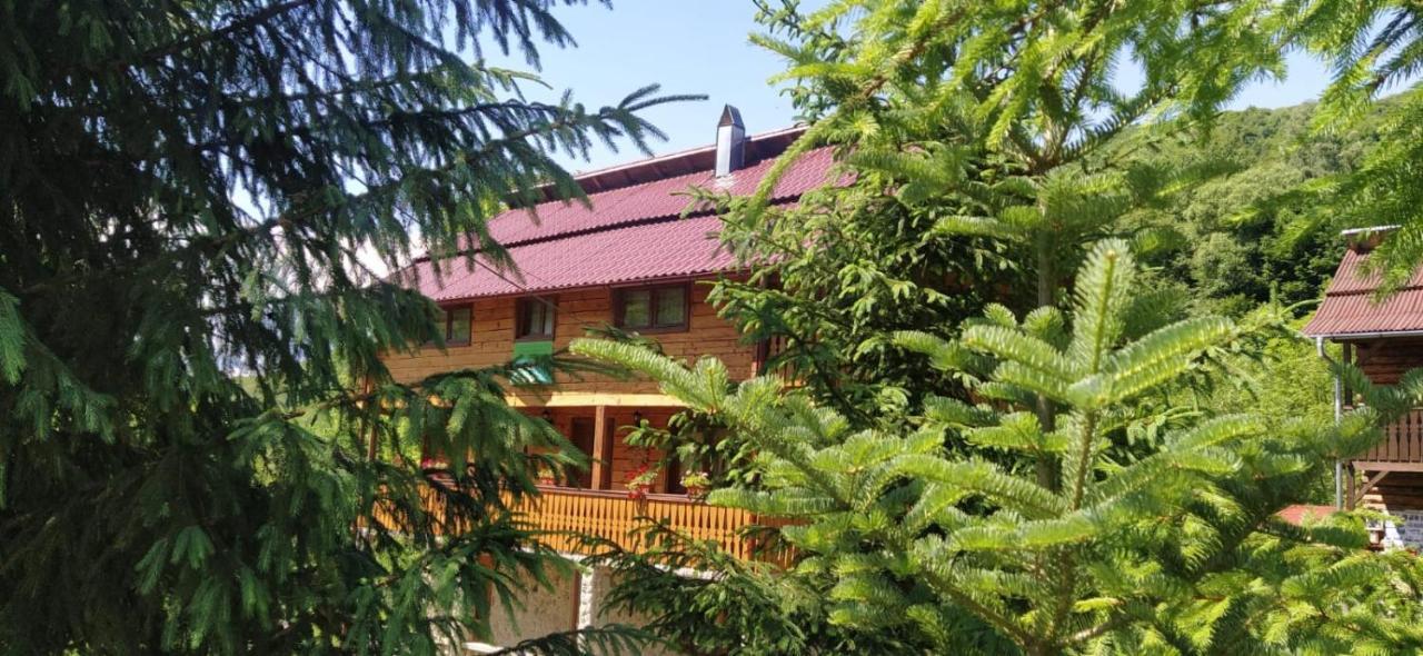 Pensiunea Simina Viseu de Jos Exterior photo